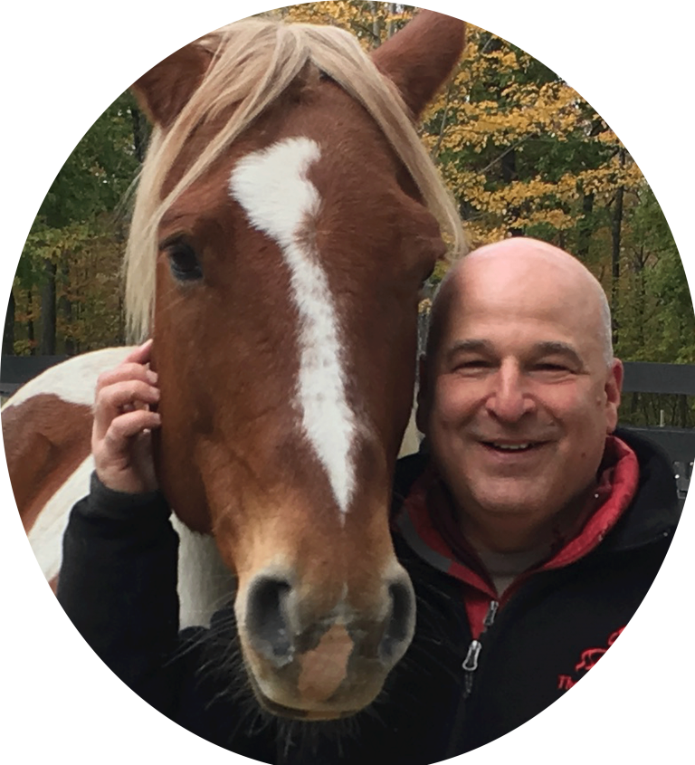 David-Sonatore-and-one of The Equus Effect star horses, Dutch