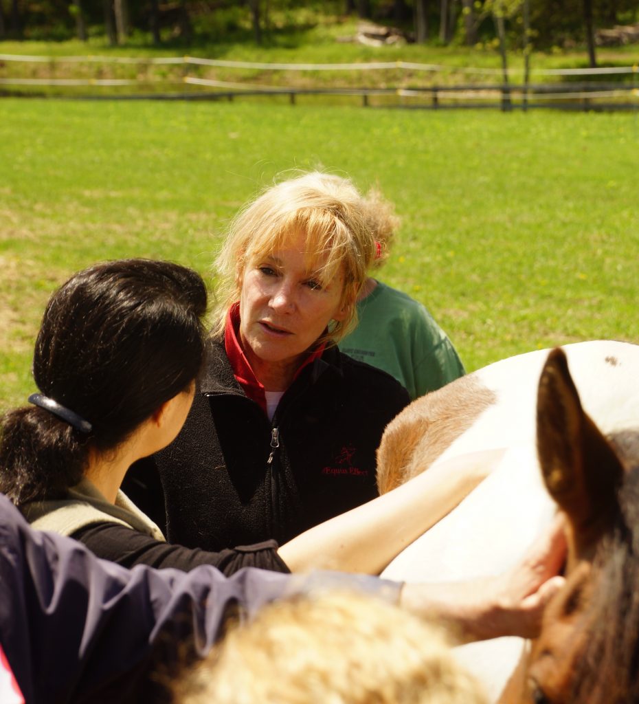 Jane Strong Equus Apprenticeship Program